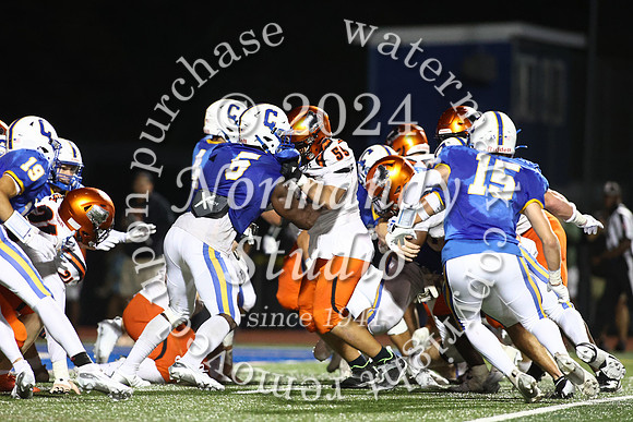 SVL_fb_51