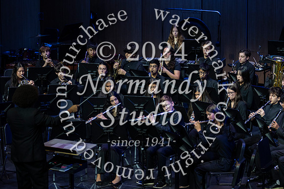 WTG_concert_45