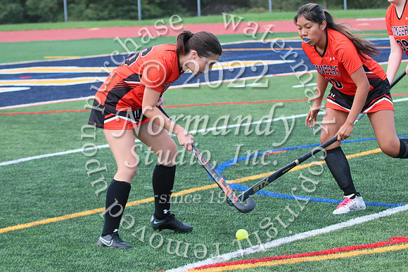 SVL_fh-j_42