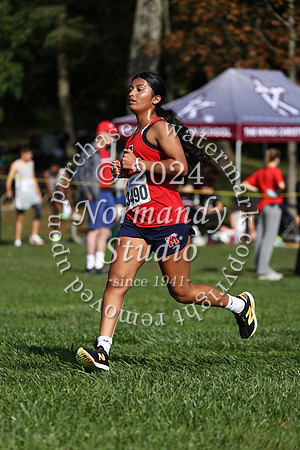 MSM_cc-g_24