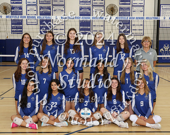 WHS_vb-g-v-t_007