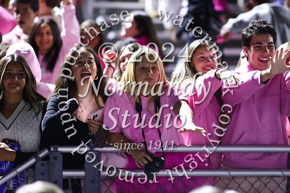 SPF_fans_57