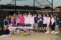 ALJ_17_pink-out