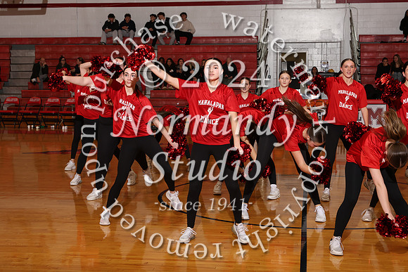 MNP_dt_20