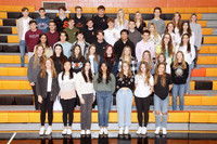 SVL_015_clubs