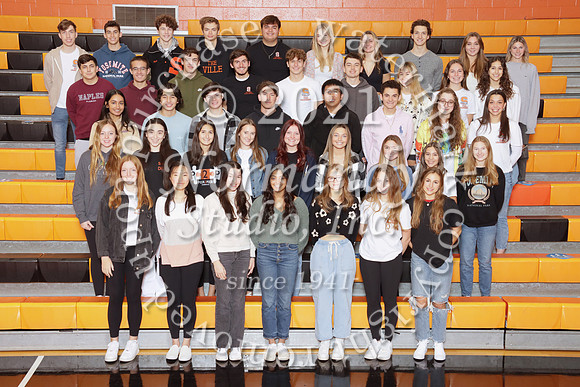 SVL_015_clubs