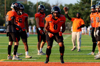 SVL_fb_20