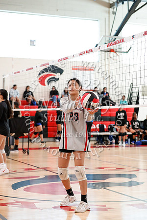 JAC_vb-g_17