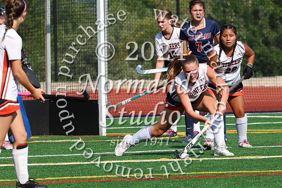 SVL_fh_43
