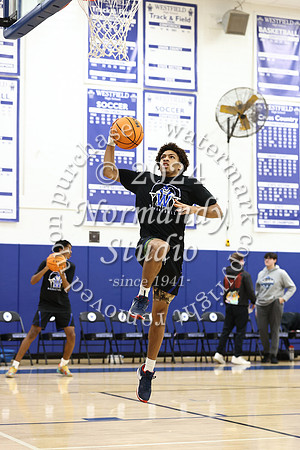 WHS_bb-b_12