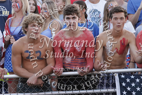 DVH_fans_06