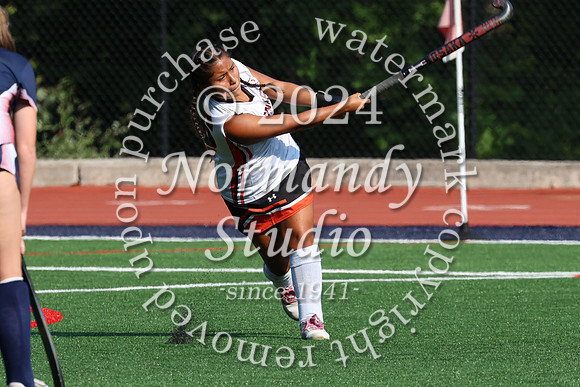 SVL_fh_46