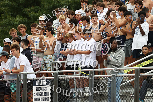 SHP_fb-fans_14