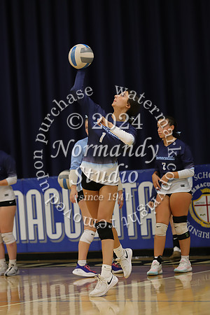IMC_vb-g_47