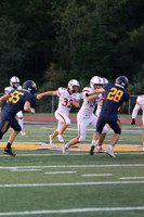 BER_fb_18