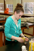 CHS_012_slc