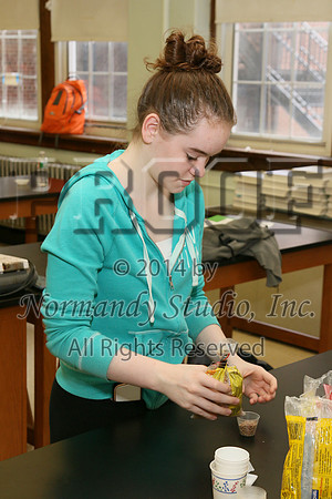 CHS_012_slc