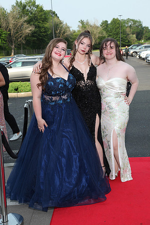 FTH_sr_prom_039