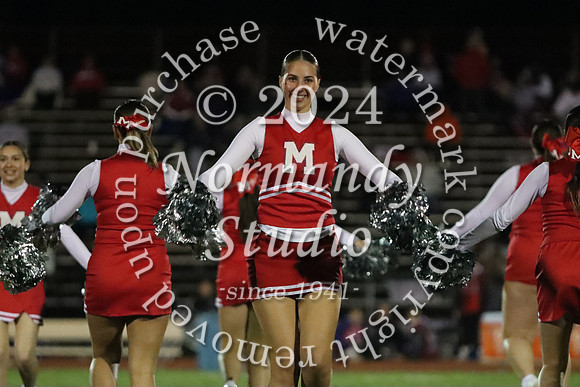MNP_dt_49