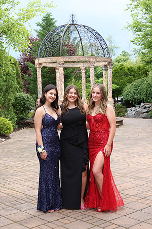 SPF_sr_prom__064