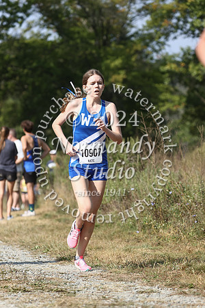 WHS_cc-g_60