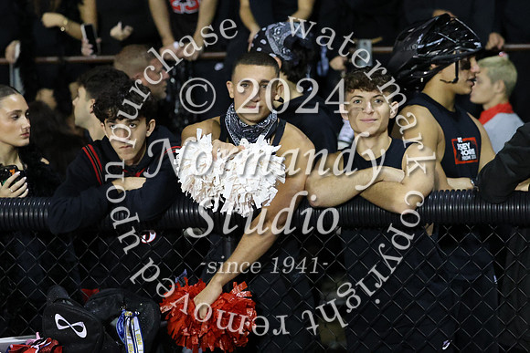 MNP_fans_14