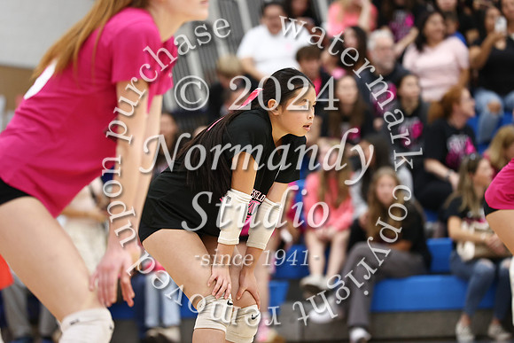 WHS_vb-pink out_26