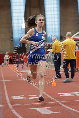 WHS_31_wt-g