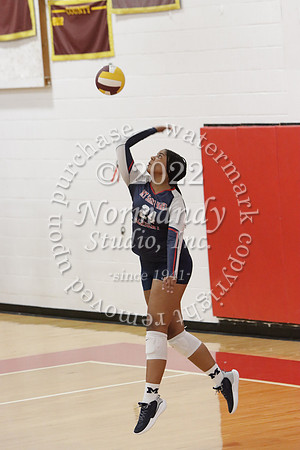 MSM_vb-g_57