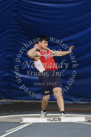 MNP_013_wt-b