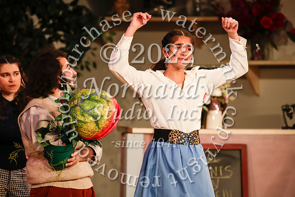 BER_74_little shop of horrors