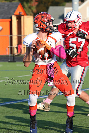 SVL_fb-j_068