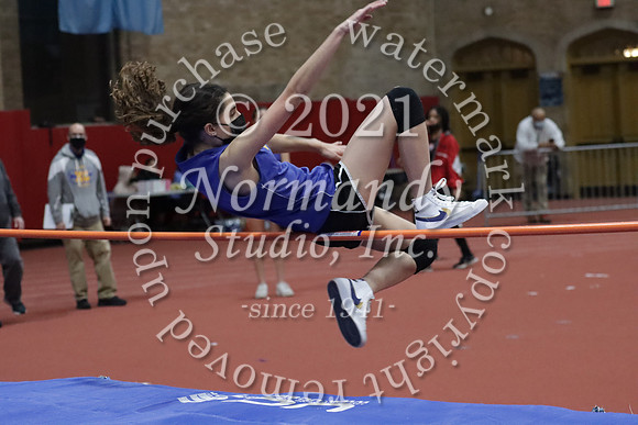 CHS_11_wt-g