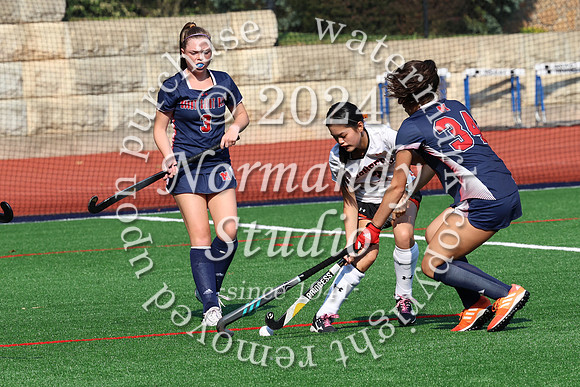 SVL_fh_33