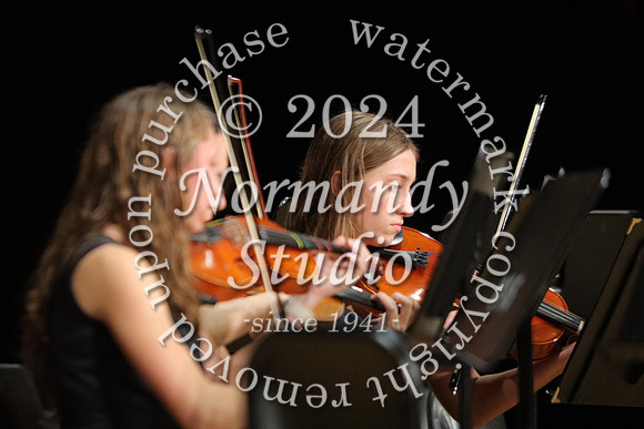 BER_orchestra_35