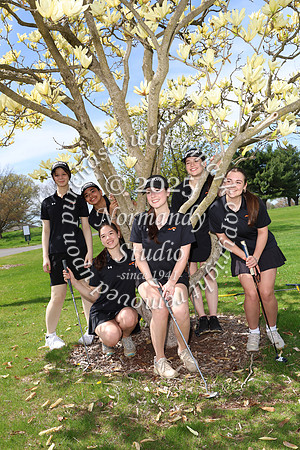 SVL_go-g-t_15