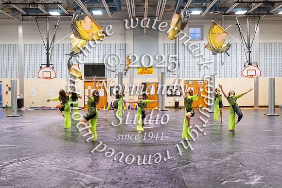SVL_guard_17