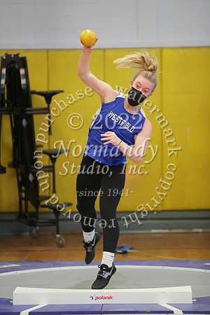 WHS_02_wt-g