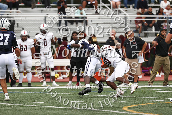 SHP_fb_48