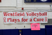 WHS_vb-game_01