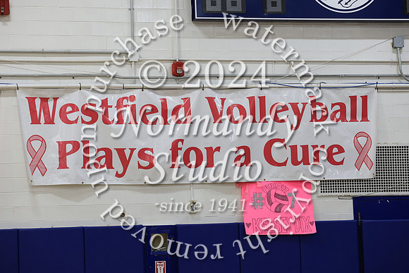 WHS_vb-game_01