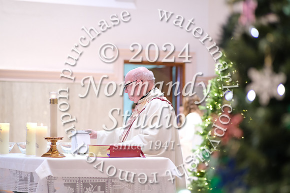 MSM_tree lighting_54