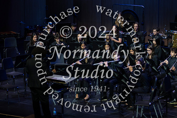 WTG_concert_47