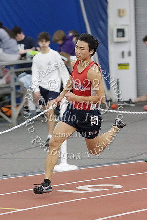 MNP_017_wt-b