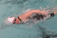 WHS_sw-g_04