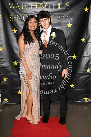 WTG_sr_prom_043