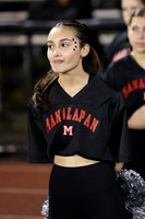 MNP_dt_11