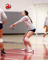 LIB_vb-g_09