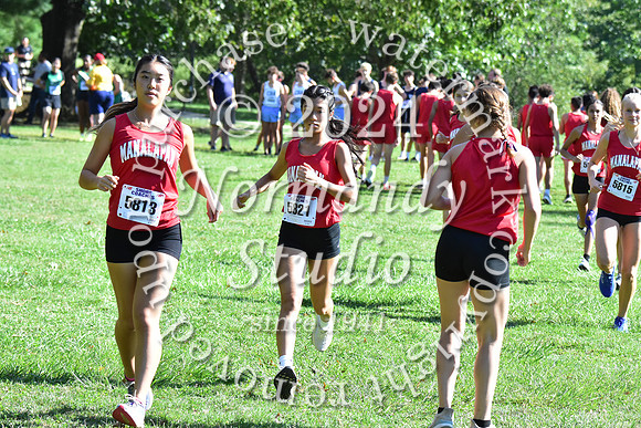 MNP_cc-g+b-j_02