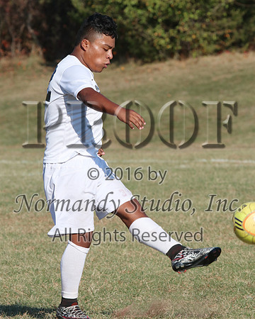 SVL_09_so-b-f